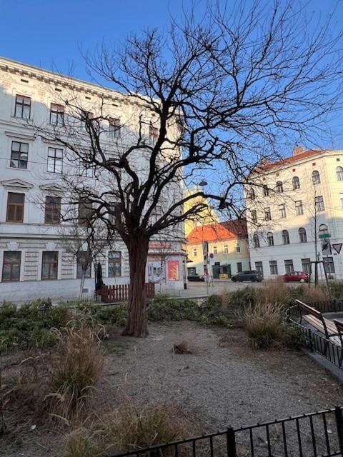 Apartment City&more! Charmantes Mit Altbauflair!